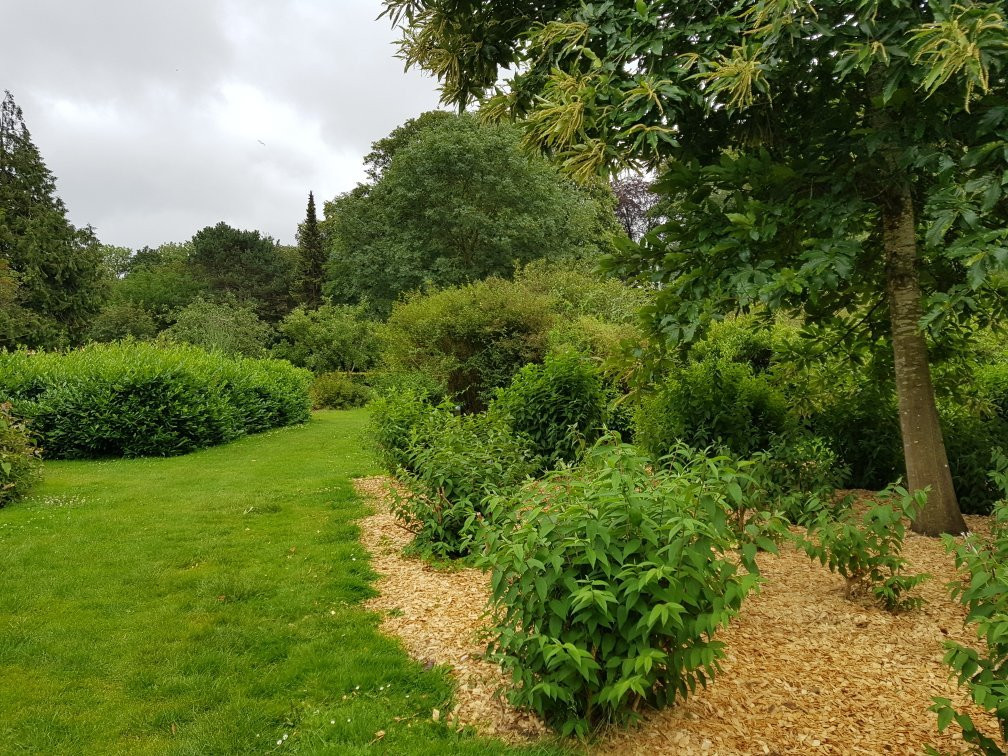 Bygholm Park Legeplads景点图片