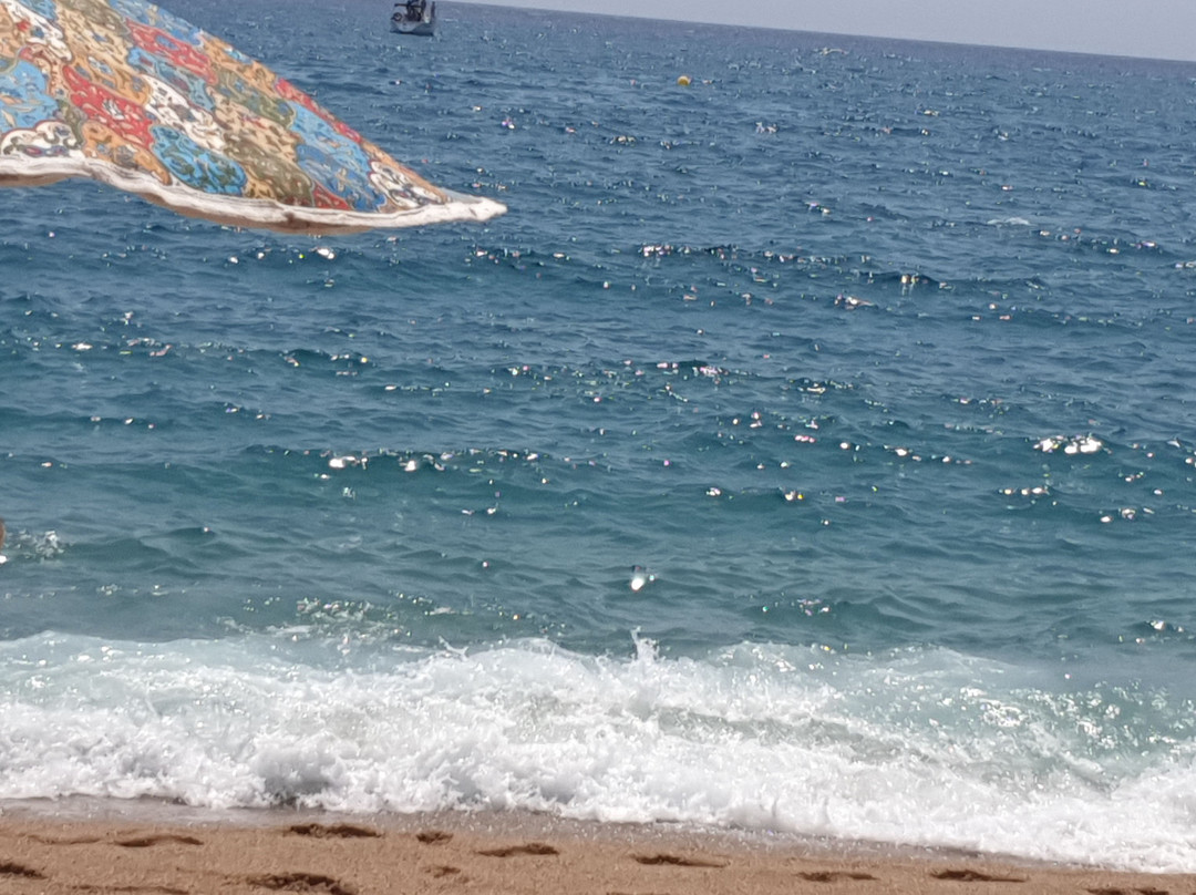 Platja de les Roques Blanques-Canet de Mar必去景点
