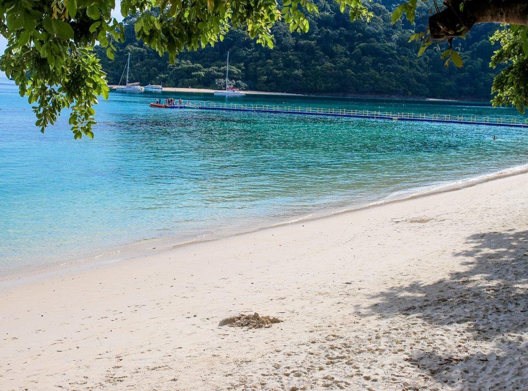 Sea Life Lanta Tours-兰塔岛必去景点