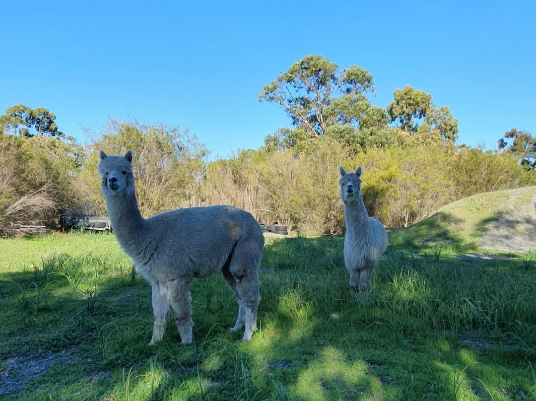 Perth Hills旅游攻略图片