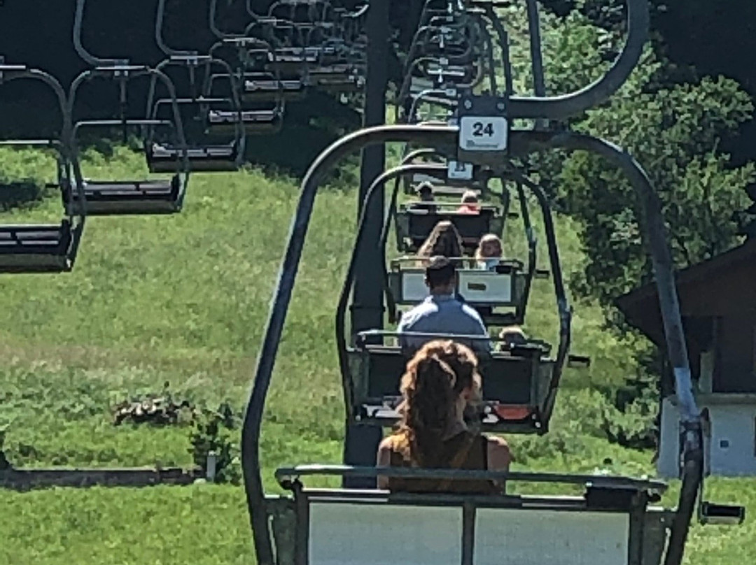 Sommerrodelbahn Keltenblitz景点图片