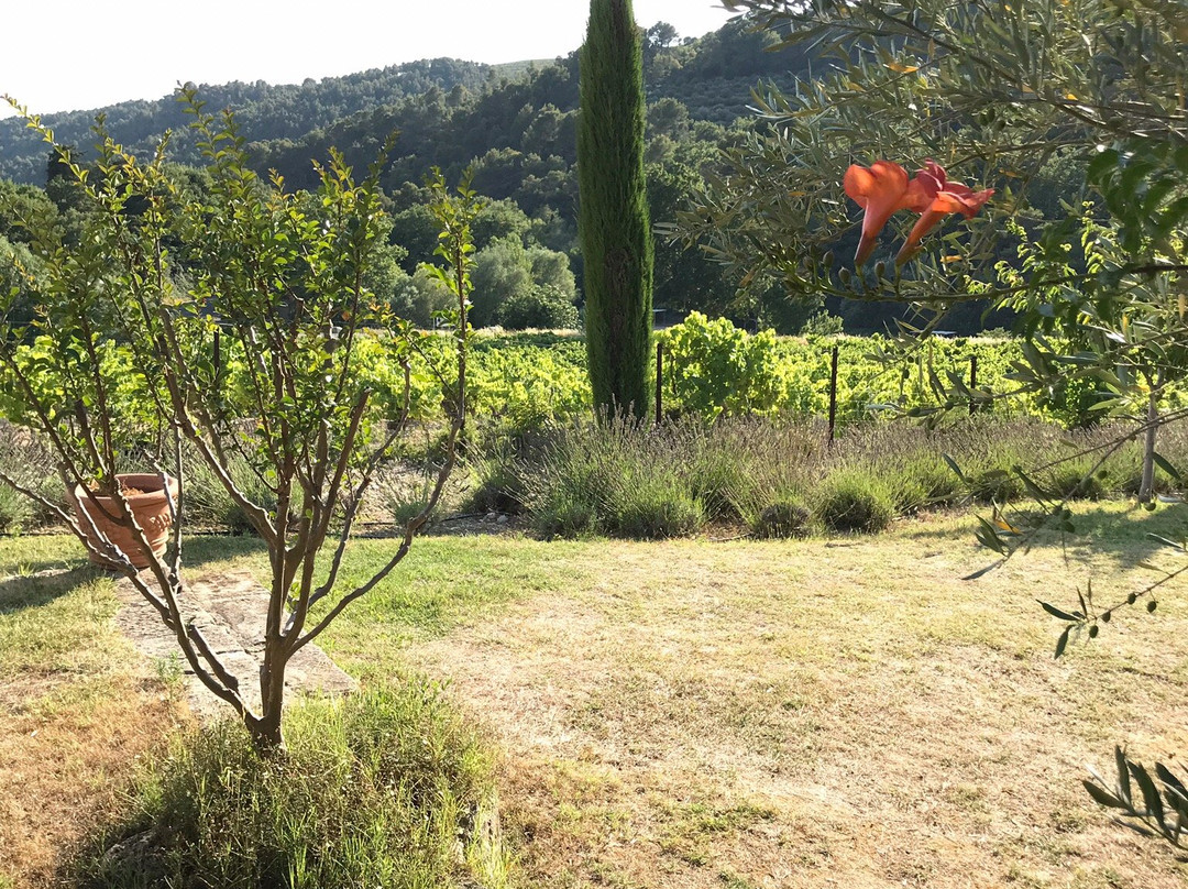 Le Grand Jardin主图