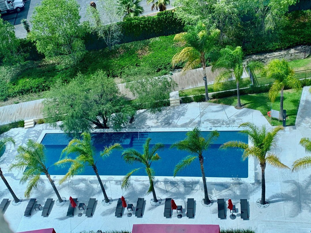 Aguascalientes Marriott Hotel主图