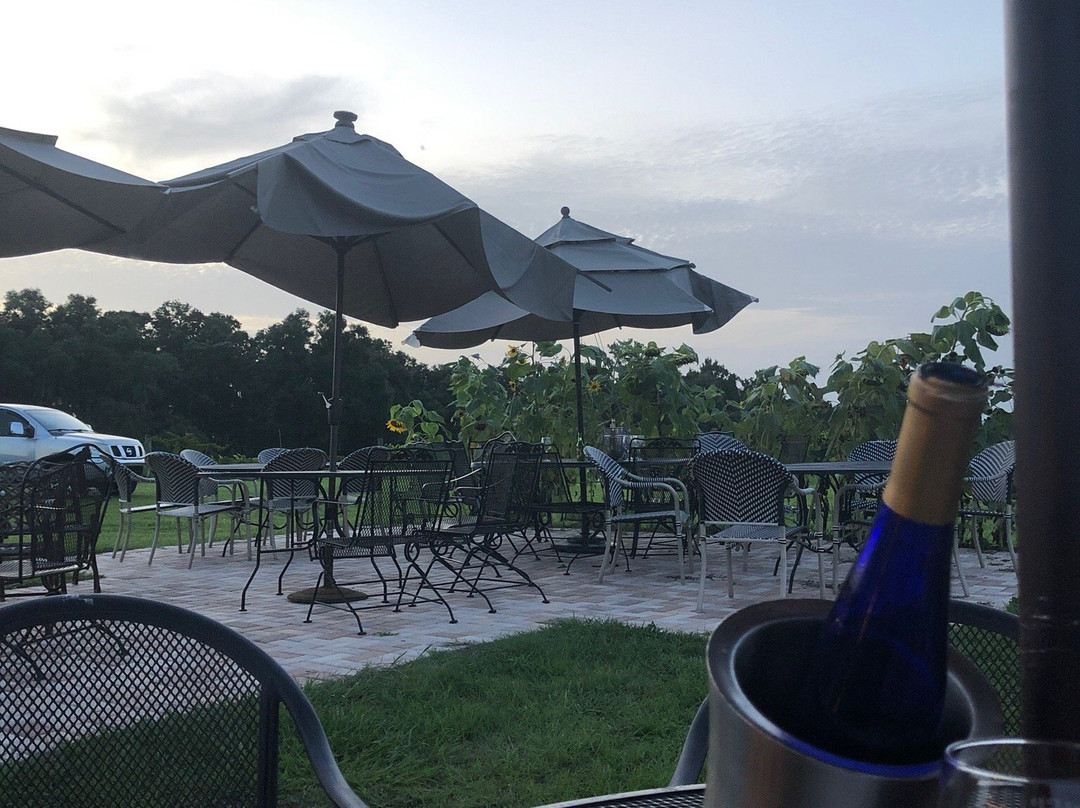 Sparacia Witherell Family Winery & Vineyard景点图片