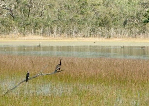 Man and Dog Bush Adventures-道格拉斯港必去景点