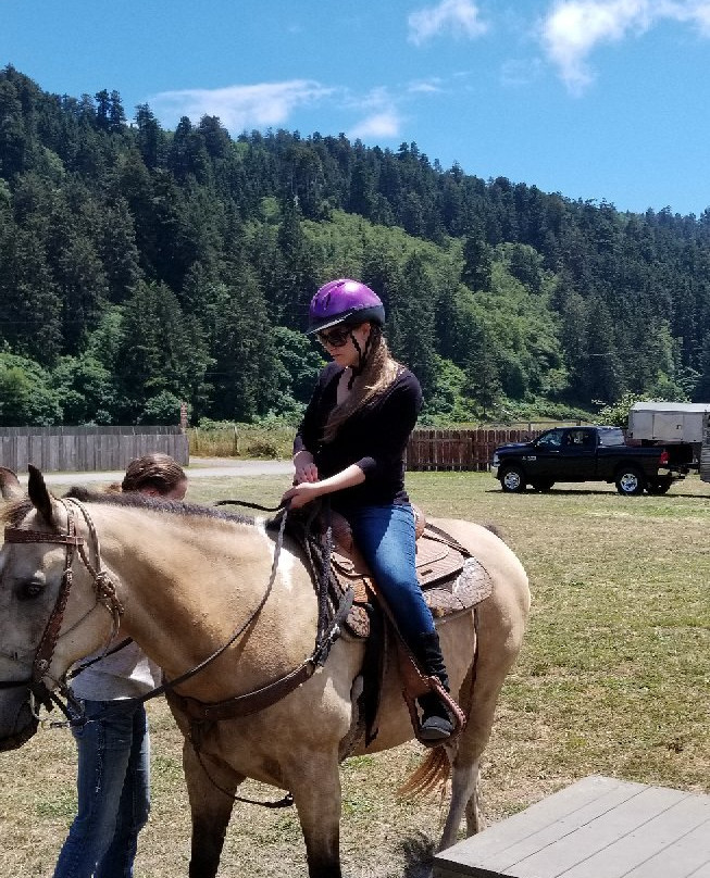 Redwood Trails Horse Rides景点图片