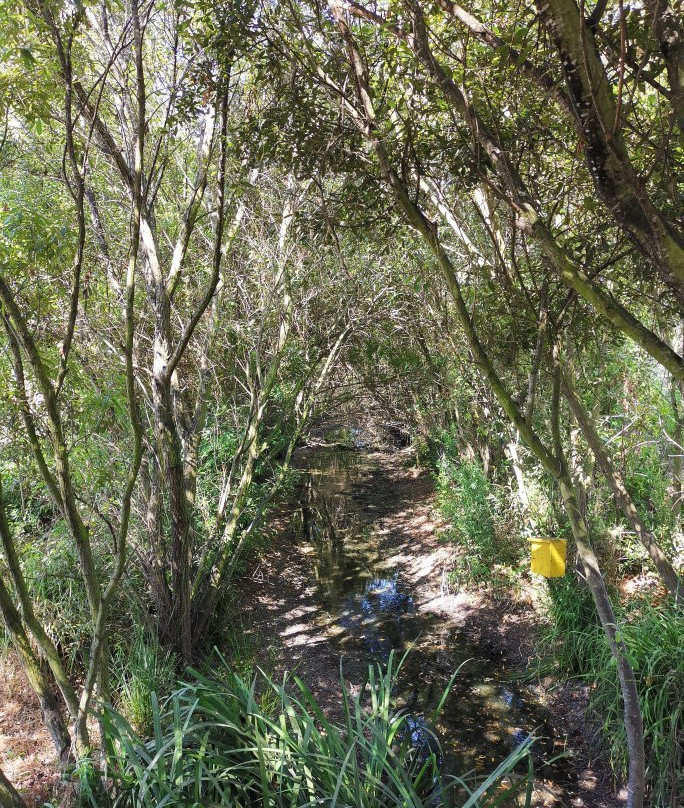 Jardin Botanico Dunas del Odiel景点图片