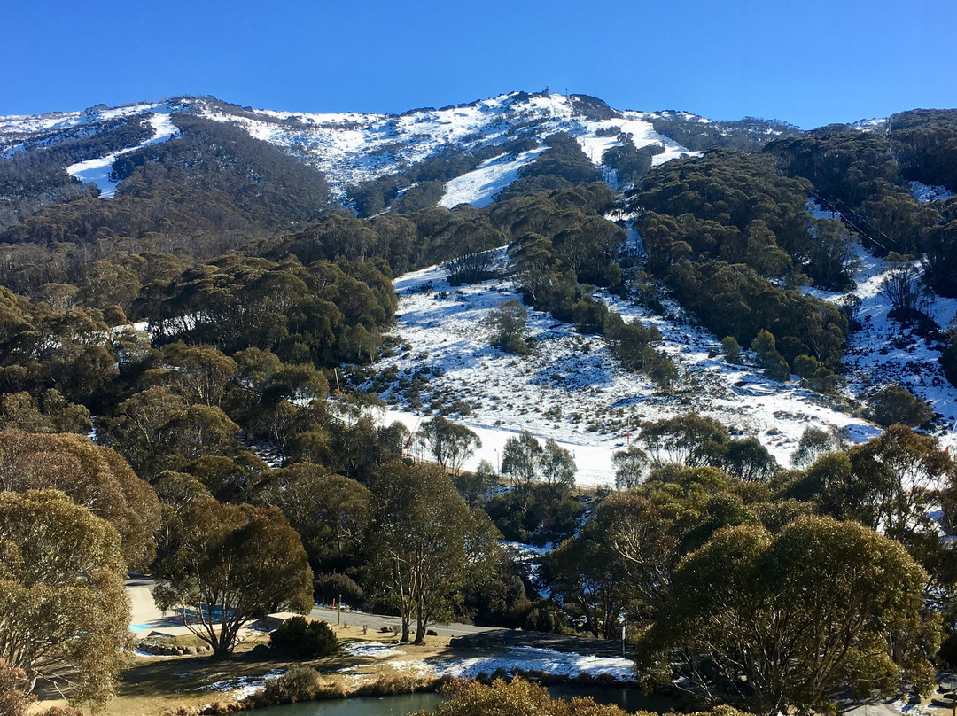 博阿里旅舍主图