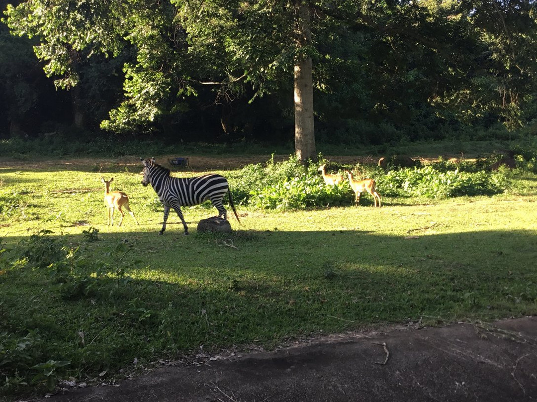 All Seasons Adventures Uganda-坎帕拉必去景点