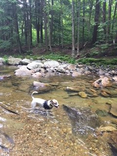 Buttermilk Falls-Ludlow必去景点