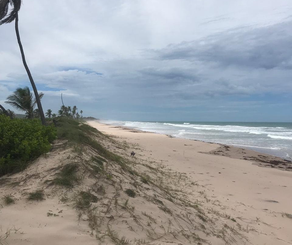 Praia de Massarandupió-恩特雷里奥斯必去景点
