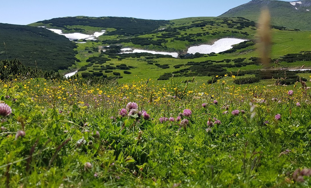 Schneebergbahn-Puchberg am Schneeberg必去景点