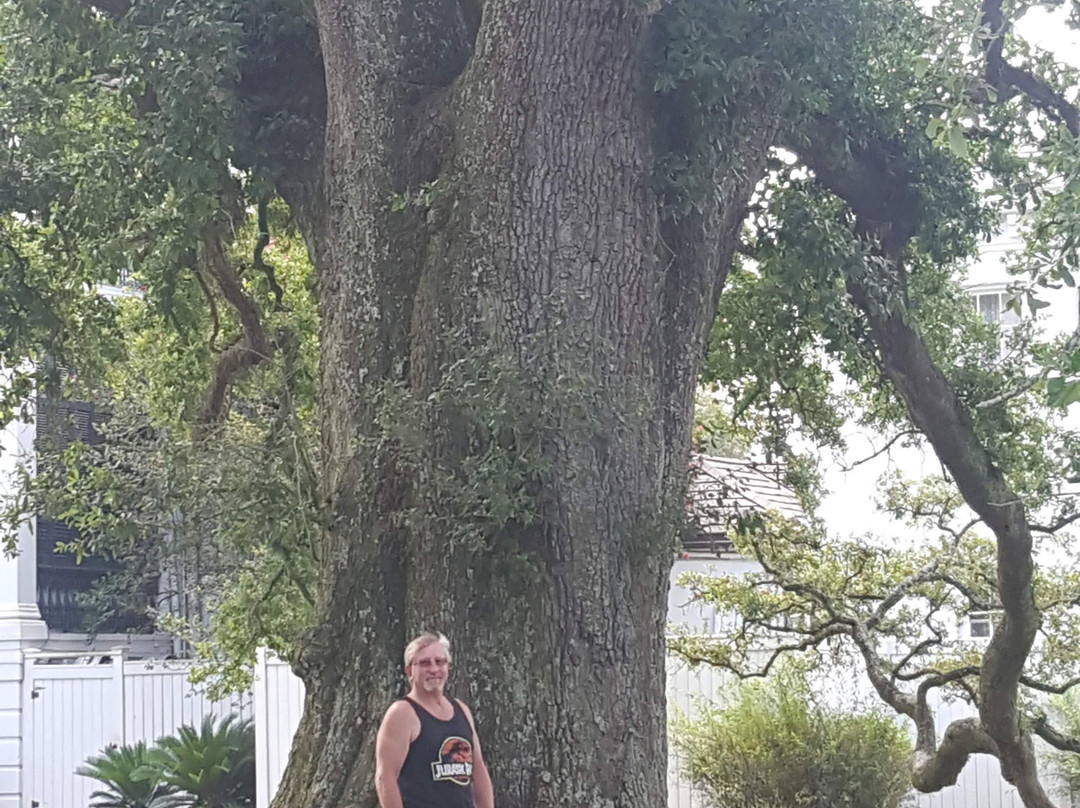 Nottoway Resort主图