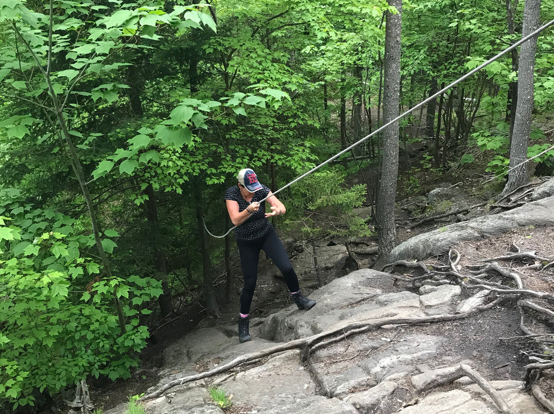 Cobble Hill-普莱西德湖必去景点