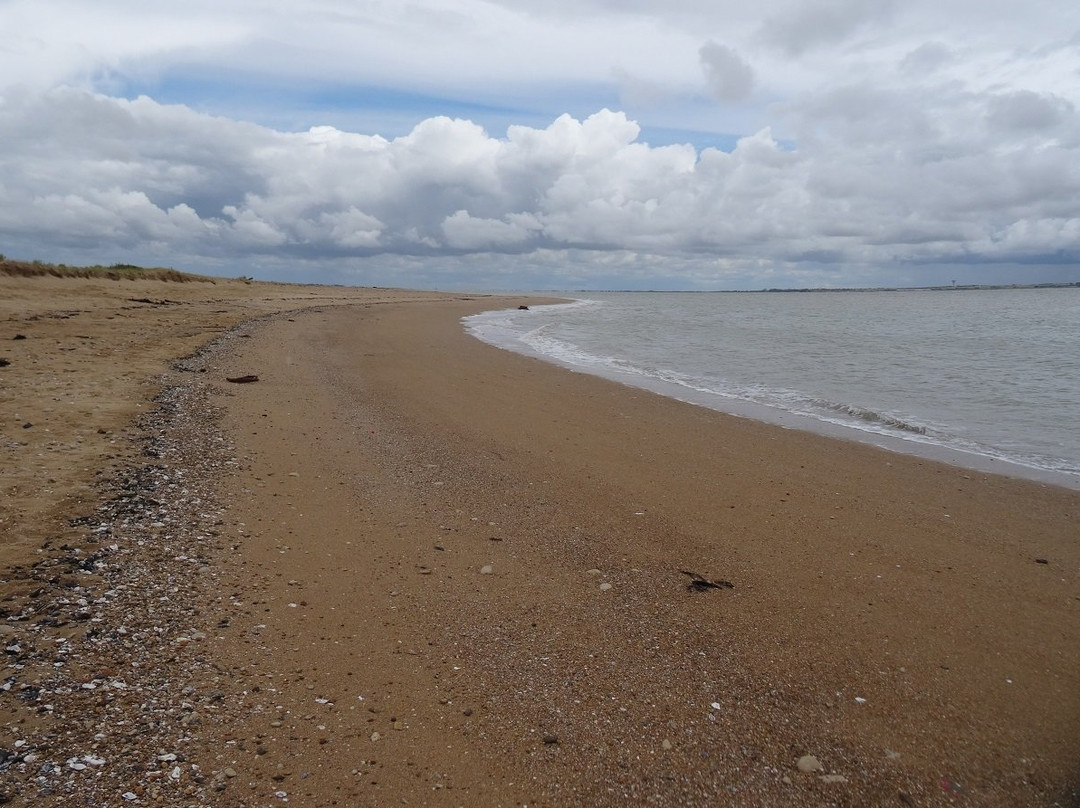 Réserve naturelle nationale de la Baie de l’Aiguillon景点图片