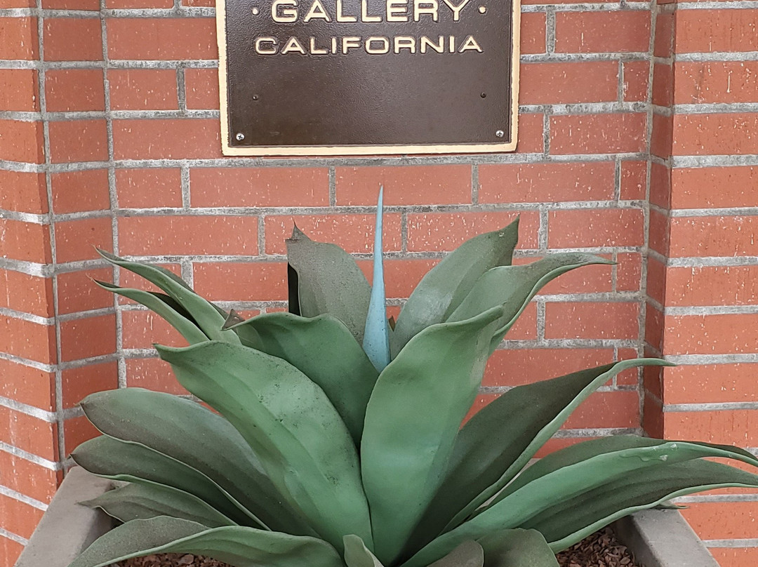 Scotty Cameron Gallery-圣地亚哥必去景点