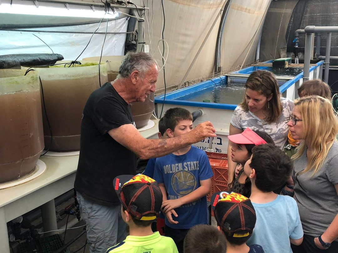 Ginat Fish - Meshek Ginal-Ein Yahav必去景点