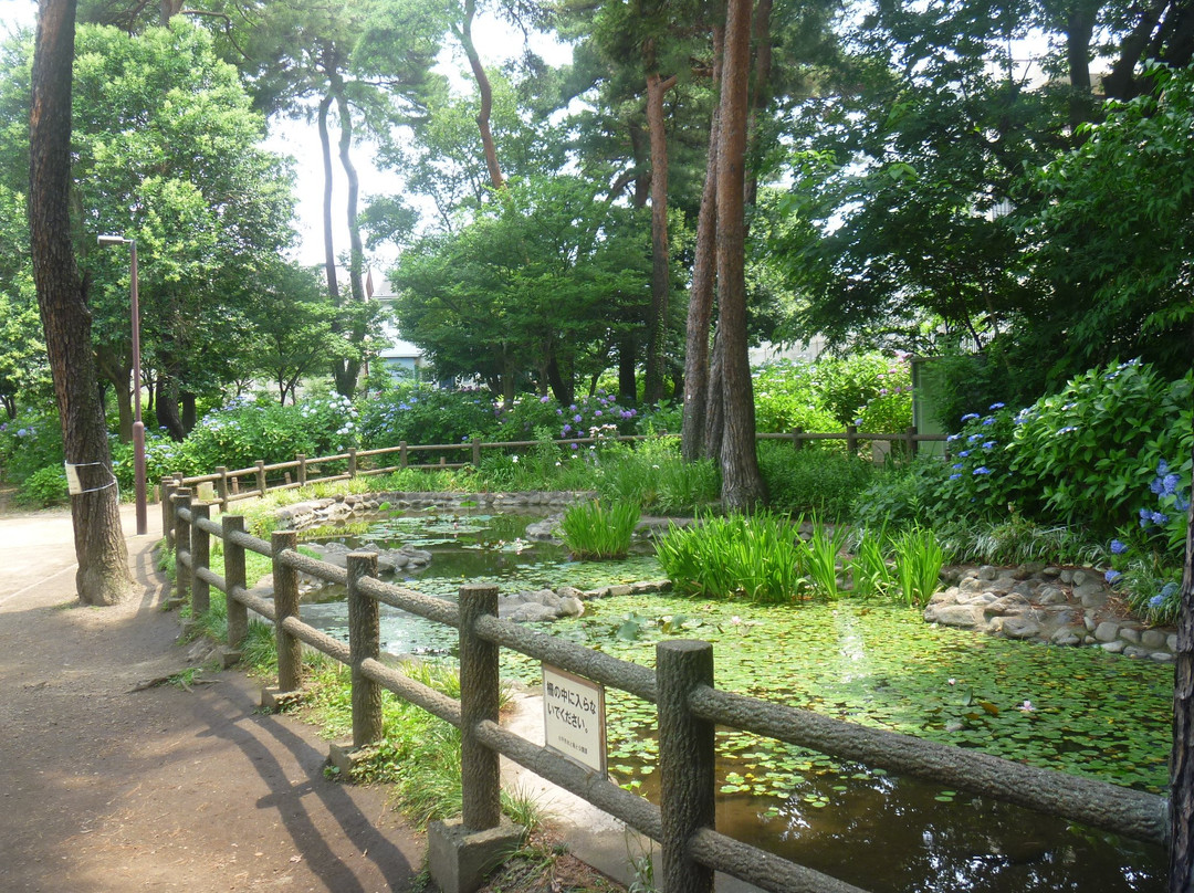 Ajisai Park-小平市必去景点