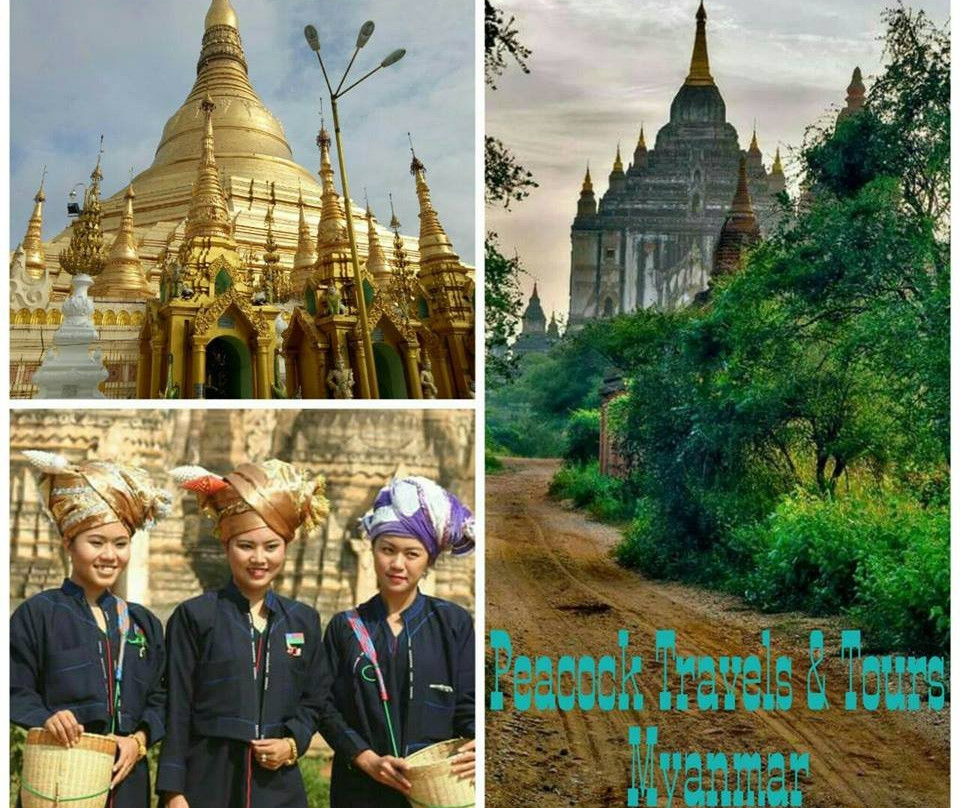Peacock Travels & Tours-仰光必去景点