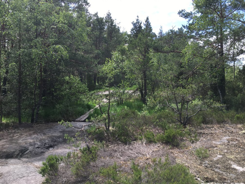 Paradisets Naturreservat-Huddinge必去景点