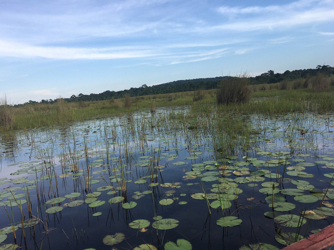Mabamba Swamp Shoebill Bird Watching-恩德培必去景点