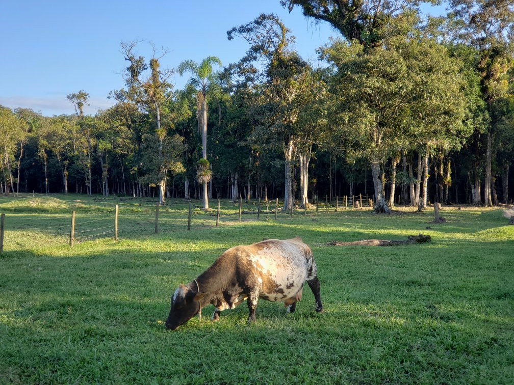 Rancho Alegre-Joinville必去景点