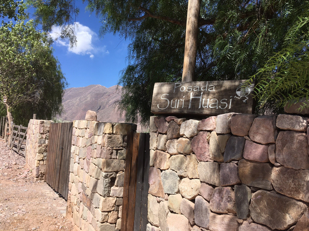 波萨达苏里还塞酒店主图