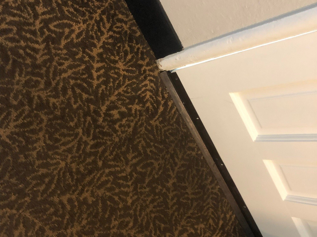 帕尔马尼酒店主图