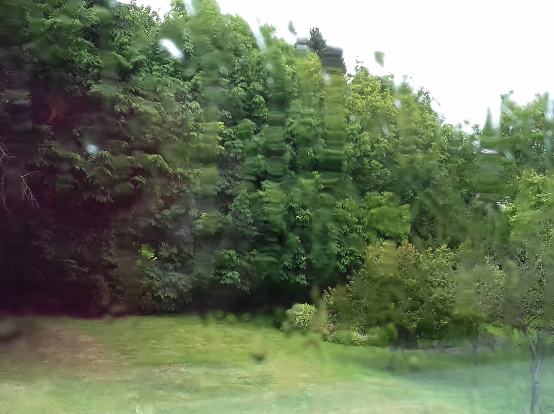 Marton Grange Country House主图