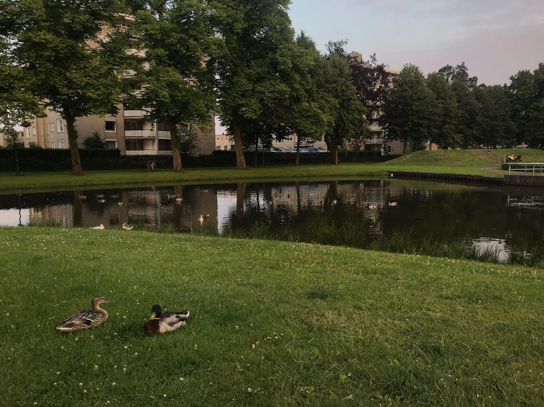Volkspark Enschede-恩斯赫德必去景点