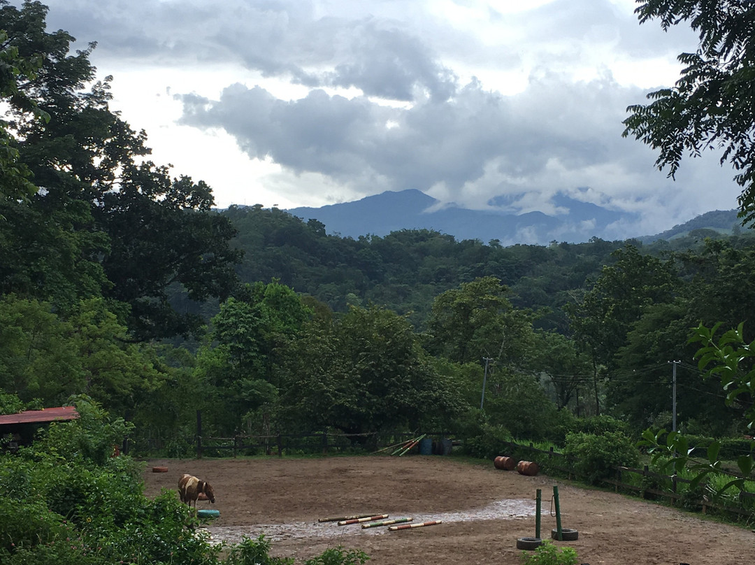 Establo San Rafael主图