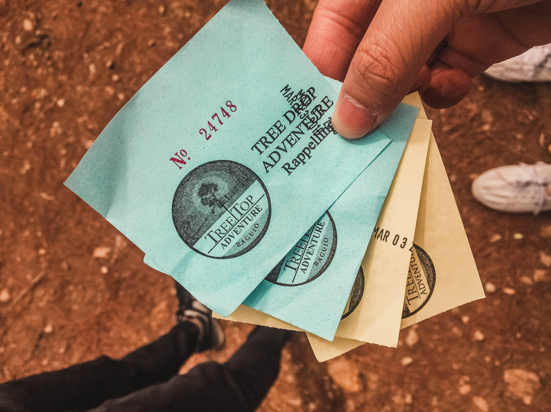 Tree Top Adventure-碧瑶必去景点