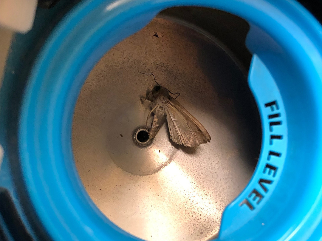 奥斯汀会议中心假日酒店主图