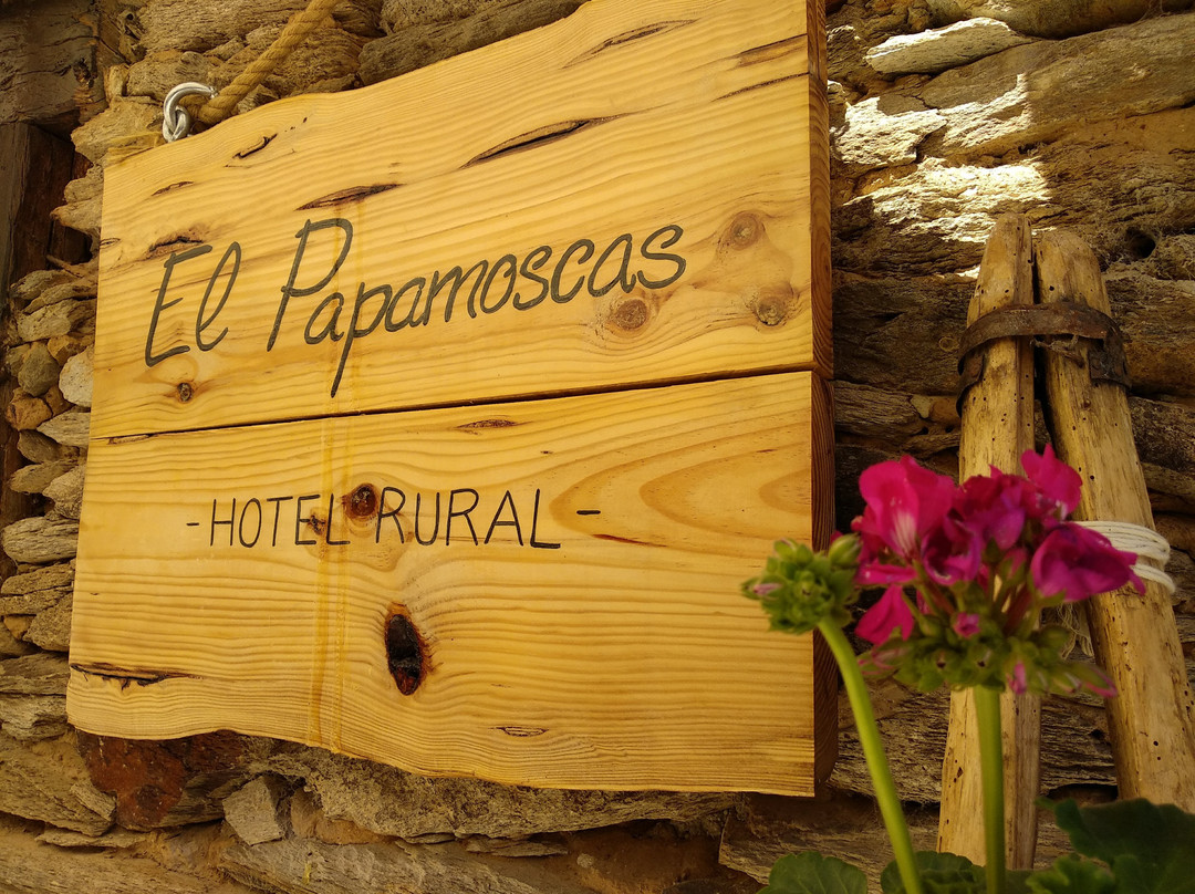 Hotel Papamoscas