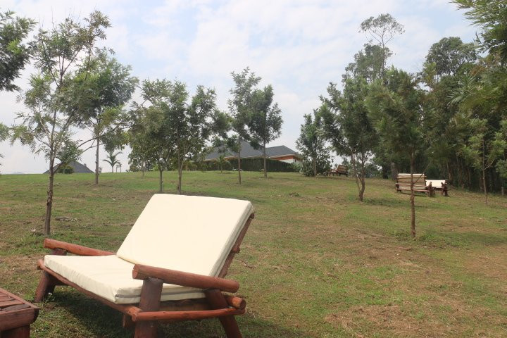 The Crested Crane Bwindi Hotel主图