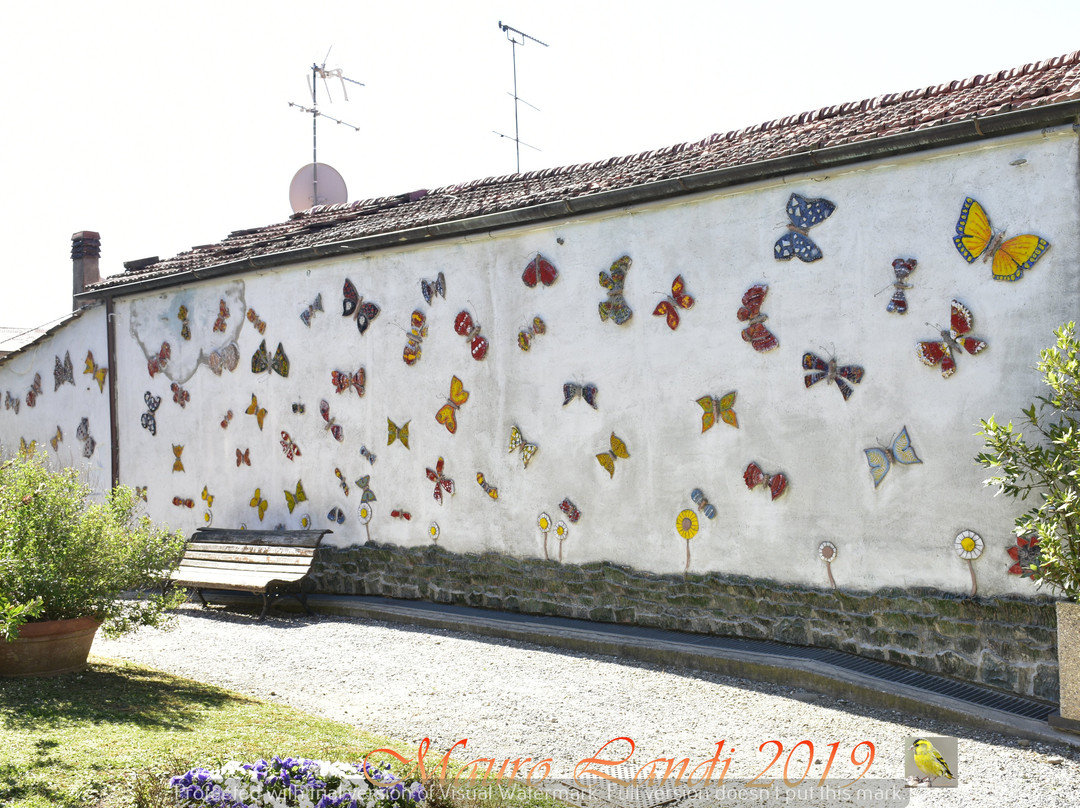 Storico Giardino Garzoni -  Casa delle Farfalle景点图片