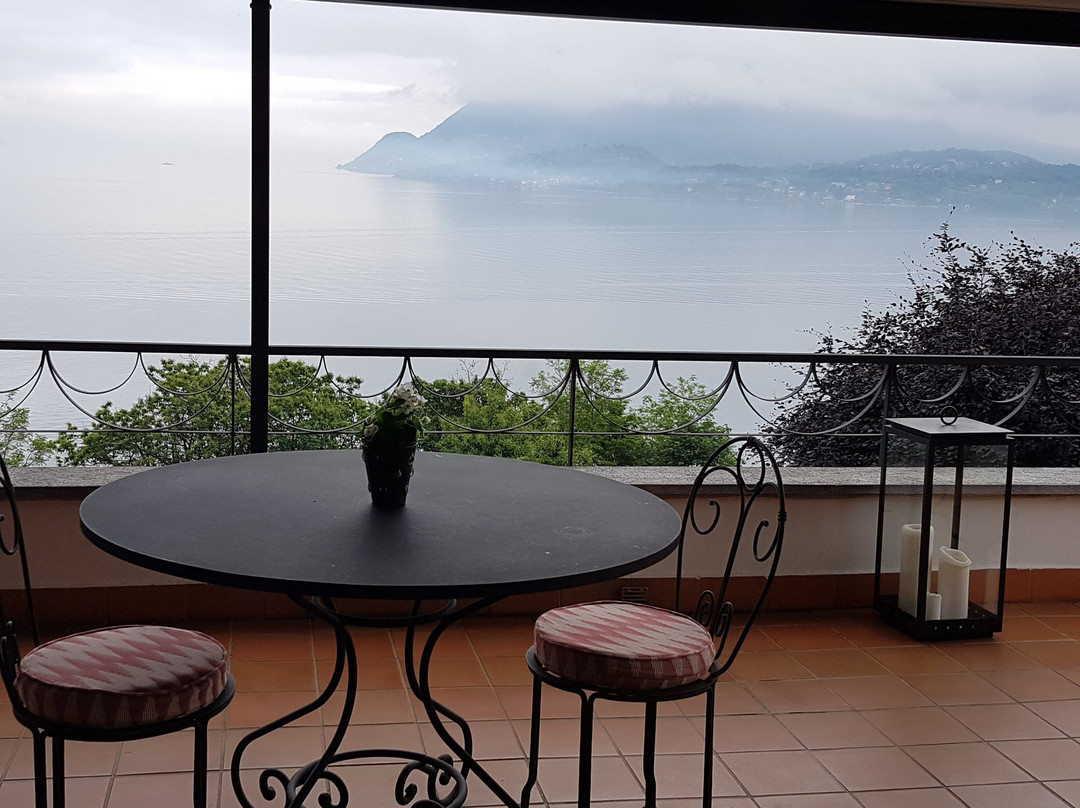 La Volpe Dorata主图