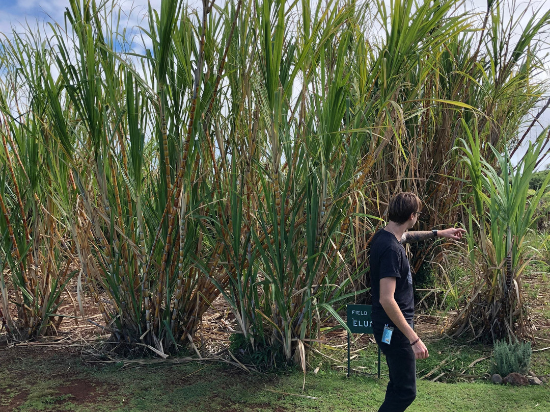 Ocean Vodka Organic Farm and Distillery-库拉必去景点