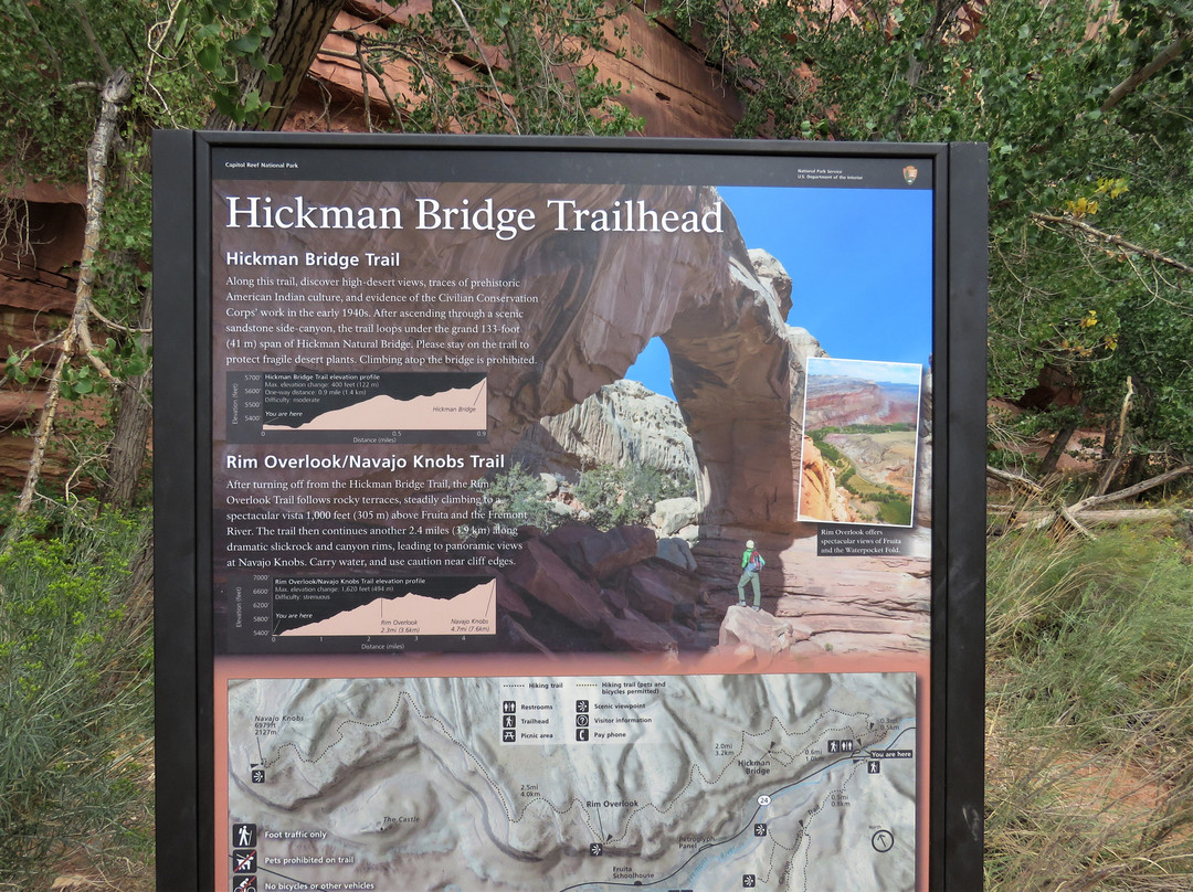 The Hickman Bridge Trail景点图片