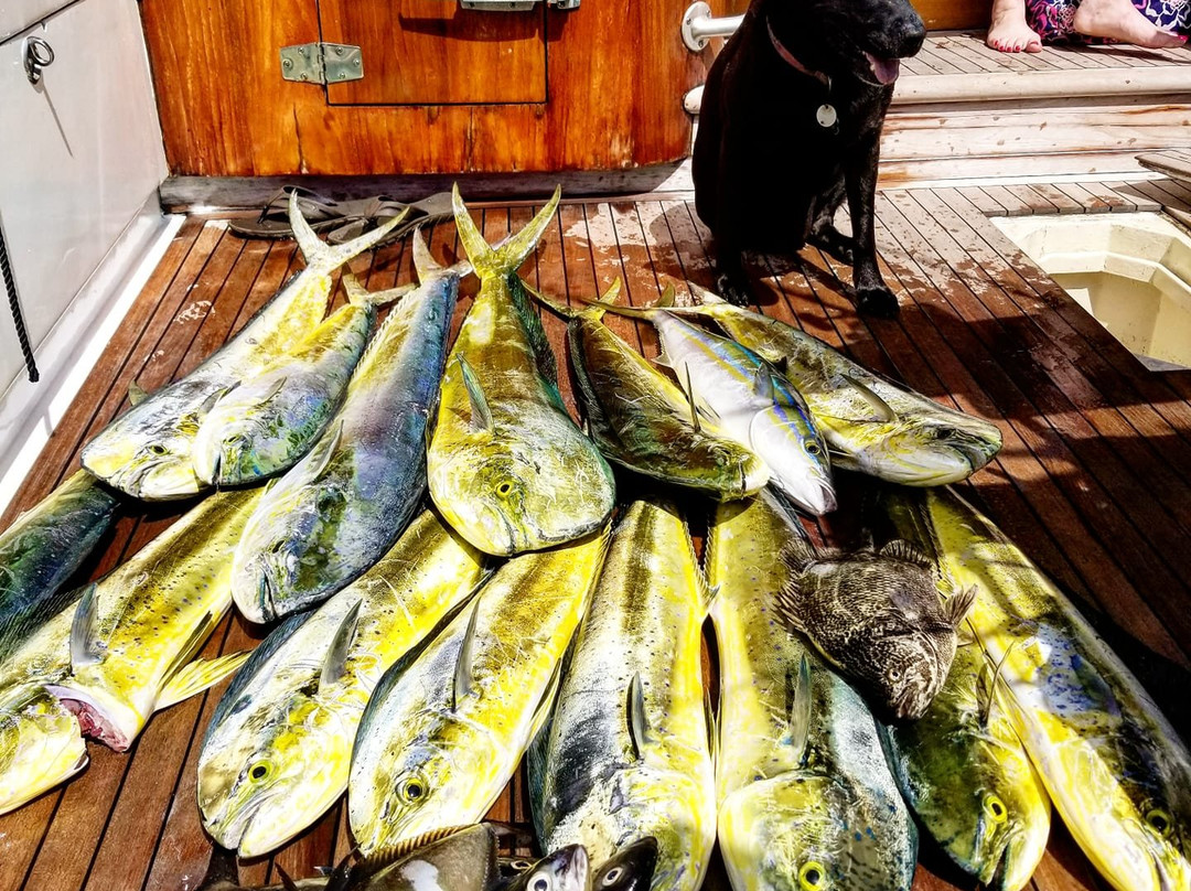 Carolina Gentleman Sportfishing景点图片