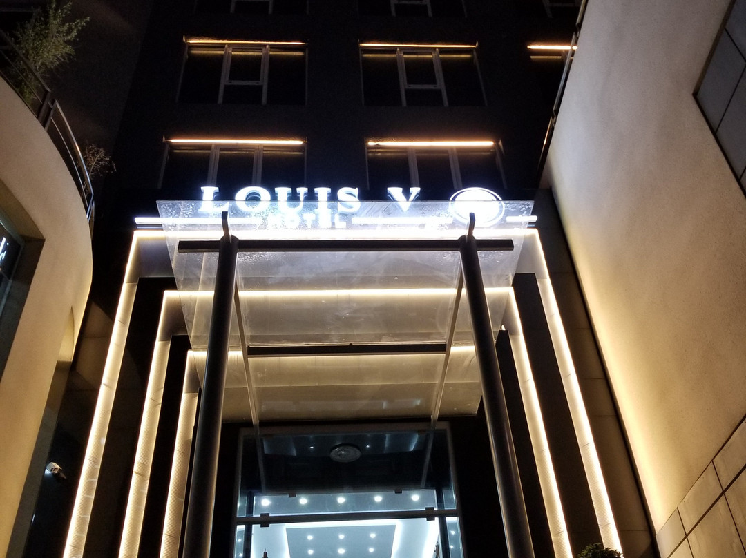 Louis V Hotel主图