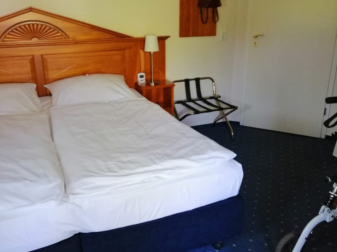 Hotel Ulmenhof主图