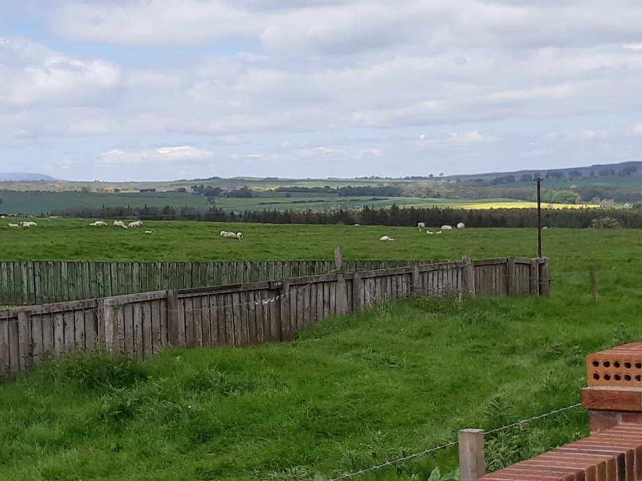 Deneview Bed & Breakfast主图