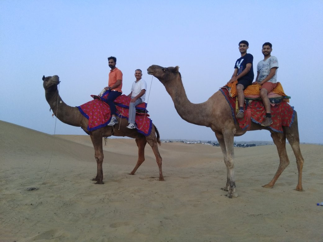 Bikaner Camel Safari景点图片