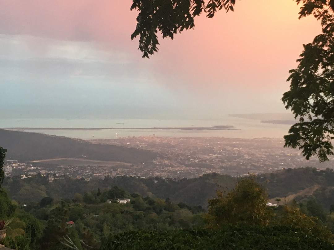 Strawberry Hill主图