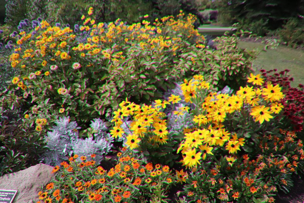 Olds College Botanic Gardens & Constructed Wetlands景点图片