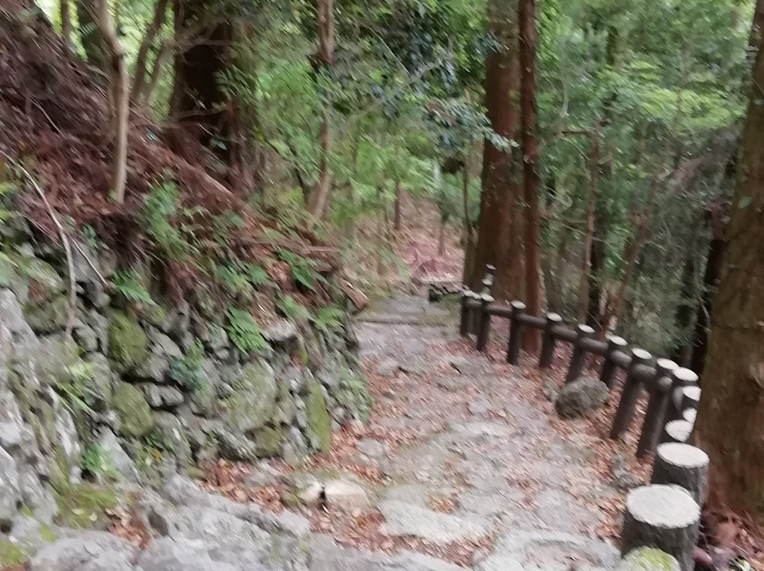 Tairyu-ji Temple  Niomon-阿南市必去景点