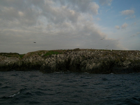 Island Boat Rentals-Roche Harbor必去景点
