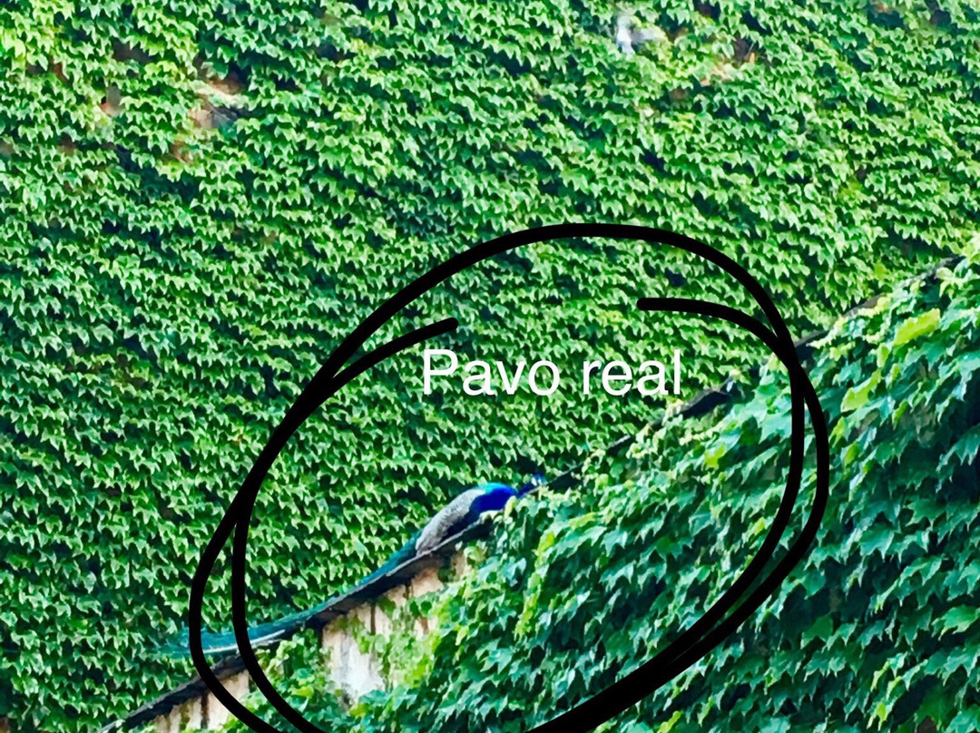 Hostal Argentina主图