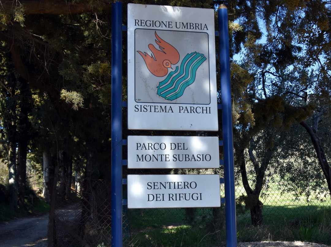 Parco del Monte Subasio景点图片